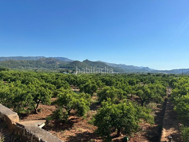 Foto fedeb354-b87c-422e-80bb-d0ea1cde8298. Finca rústica a Palma de Gandía