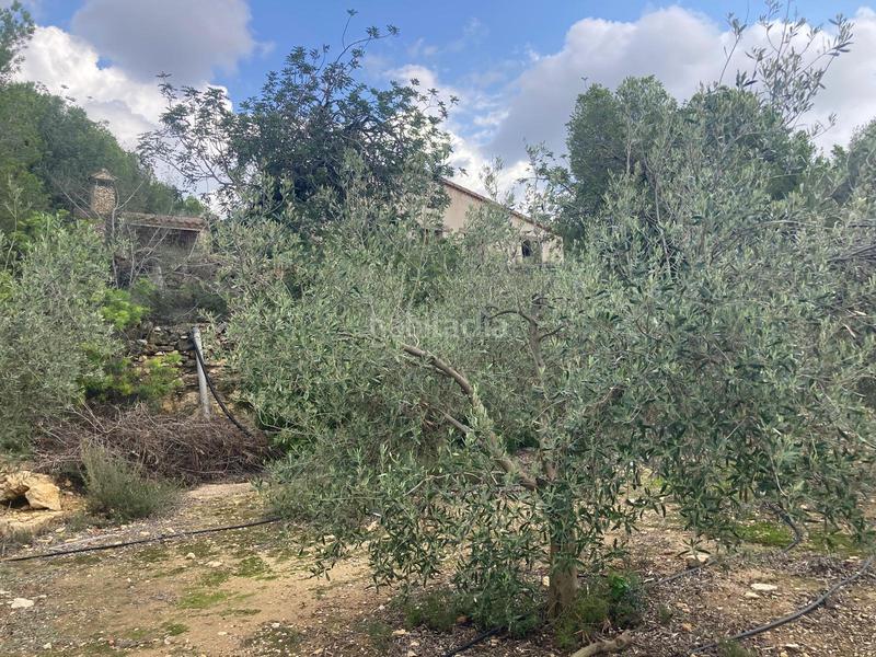 Foto 394ca82a-1166-4c43-a844-80a25796d1b6. Finca rústica a Urbanitzacions Tortosa