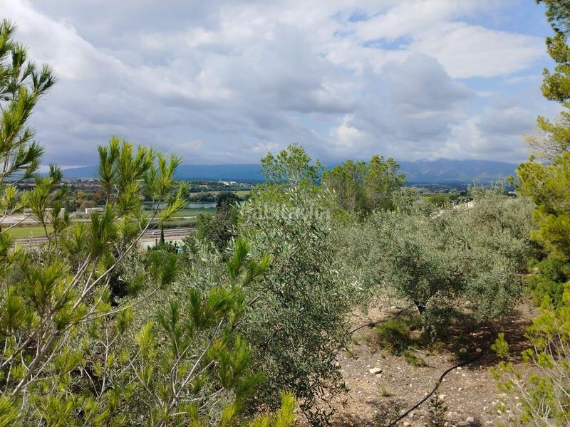 Foto 54007fd8-1762-4616-b9cb-18c3835f11a4. Finca rústica a Urbanitzacions Tortosa