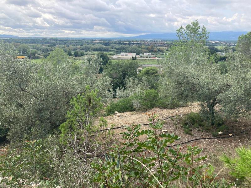 Foto 6d69ab3b-0242-486a-8492-ece868ce0296. Finca rústica a Urbanitzacions Tortosa