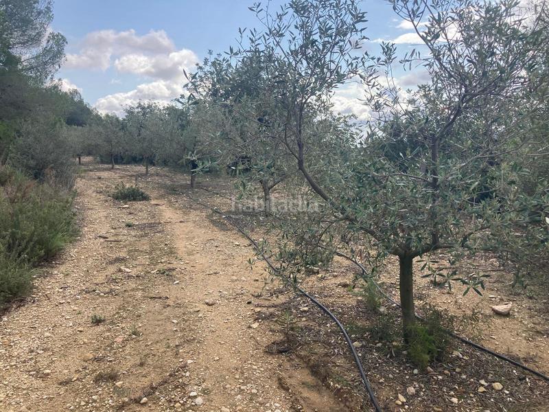 Foto 6ed6d666-ef08-4741-9098-5bcd60937e98. Finca rústica a Urbanitzacions Tortosa