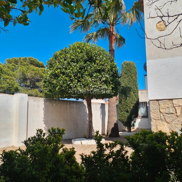 Foto ebe0049a-ccef-4ab9-b340-d38ee28c174b. Chalet mit kamin heizung in Centre Miami Platja