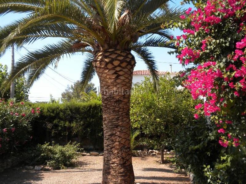 Foto 71d29c5c-6d87-475f-978b-4e15291bbce7. Xalet amb xemeneia aparcament piscina a Centre Miami Platja