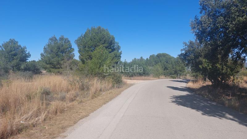 Foto 9b387a0a-adeb-4c6b-b5ac-7cfdb9232083. Landgut in Camí de Paterna-Lloma del Calderer Bétera