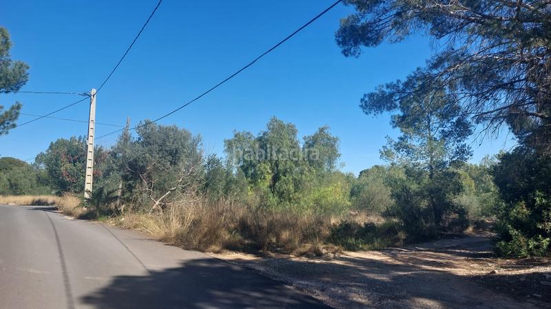 Foto 083b9347-731c-43c4-8049-eb65b6c91751. Finca rústica a Camí de Paterna-Lloma del Calderer Bétera