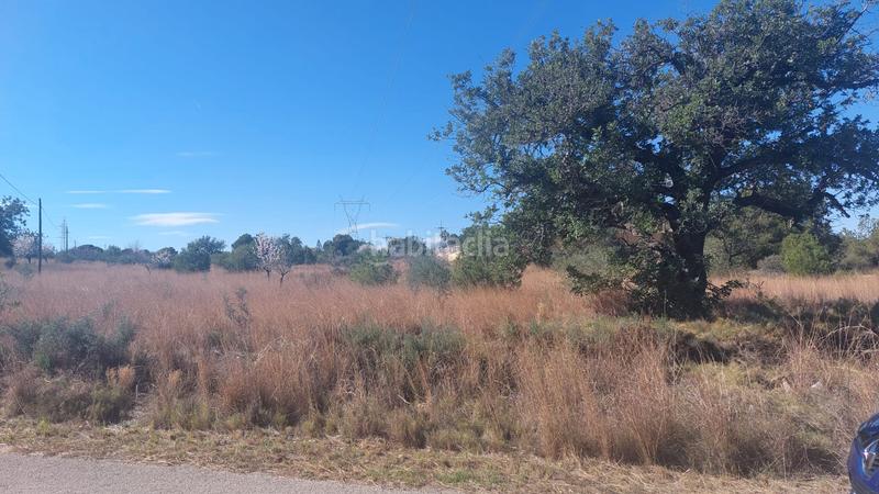Foto 0c2737d9-bc69-44a0-89d2-072342b6d21e. Fondo rustico in n/a in Camí de Paterna-Lloma del Calderer Bétera