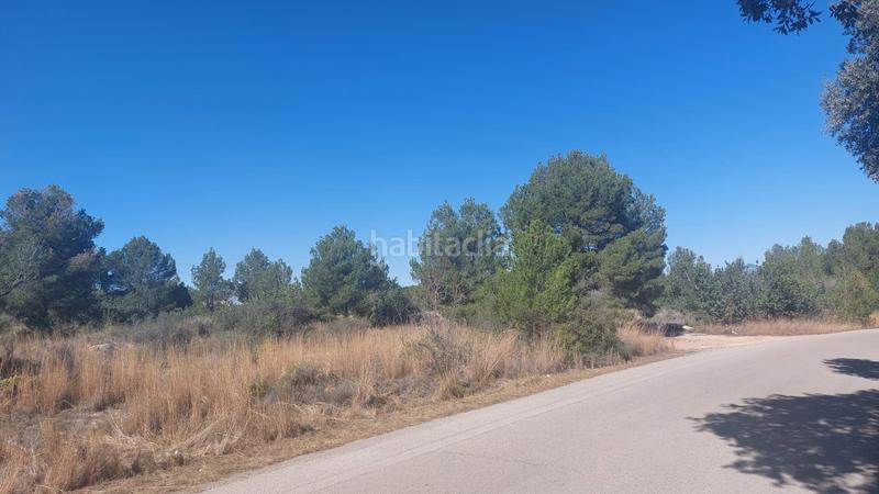 Foto 186d20b7-b6f6-4b7a-83a5-ebfcc98bdda3. Fondo rustico in n/a in Camí de Paterna-Lloma del Calderer Bétera