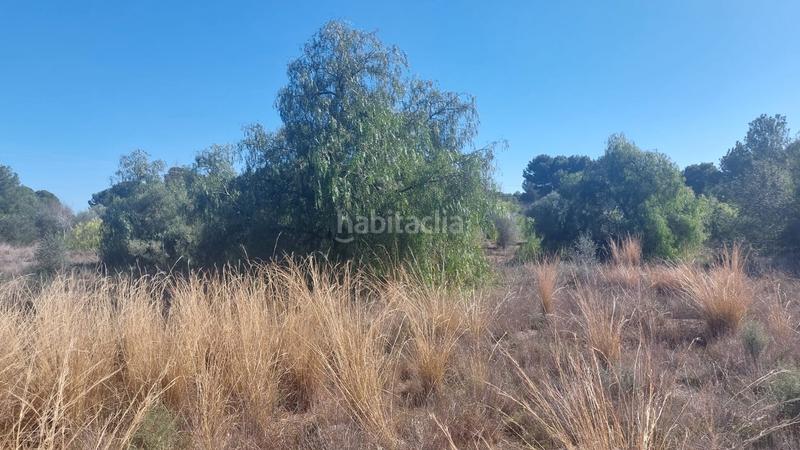 Foto f0150a8f-ae97-496c-bdae-ba90088399b4. Fondo rustico in n/a in Camí de Paterna-Lloma del Calderer Bétera