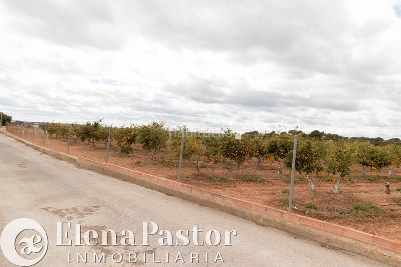 Foto 6d32aeef-ebd2-4271-a4f7-bb05f0dbe54f. Fondo rustico in calle venezuela 43 in Los Pinares-La Masia Bétera