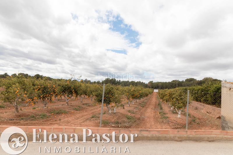 Foto ed89d606-2ea8-4762-b9f3-dafc13952a06. Fondo rustico in calle venezuela 43 in Los Pinares-La Masia Bétera