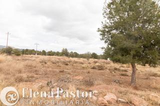 Propriété à Los Pinares-La Masia. Terreno rústico en bétera