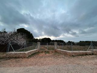 Finca rústica a Los Pinares-La Masia. Terreno rústico en bétera