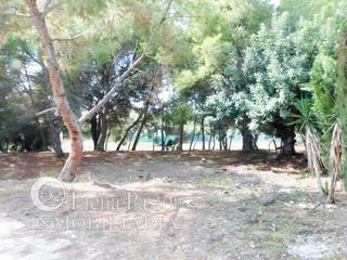 Terrain résidentiel à Los Pinares-La Masia