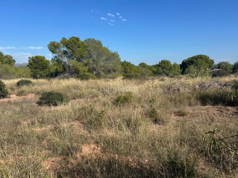 Foto 05eb4abb-ad10-4aec-9882-85ad98d45f83. Rural plot in Los Pinares-La Masia Bétera