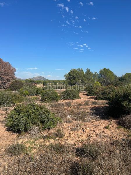 Foto 09351b3d-7667-4d8c-8aad-ef89ff3e5233. Rural plot in Los Pinares-La Masia Bétera