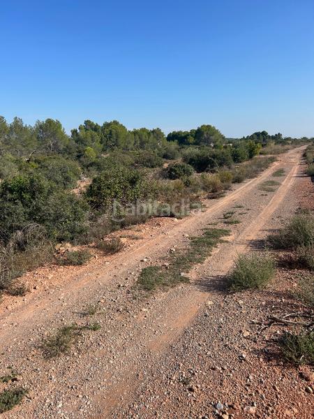 Foto 1a9fe318-740e-46ca-a9e3-99995259ea75. Rural plot in Los Pinares-La Masia Bétera