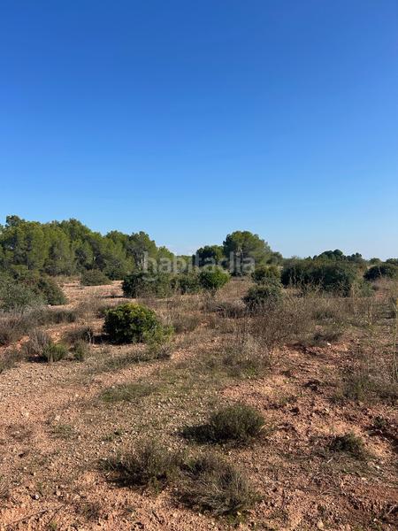 Foto 561924ef-76dc-4a16-8733-20034bf175c6. Rural plot in Los Pinares-La Masia Bétera