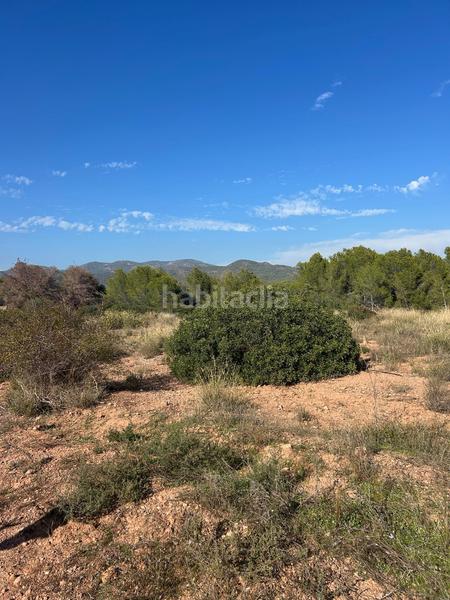 Foto 6c327a00-ca86-4ba0-8445-3e8ab1bfe9d8. Rural plot in Los Pinares-La Masia Bétera