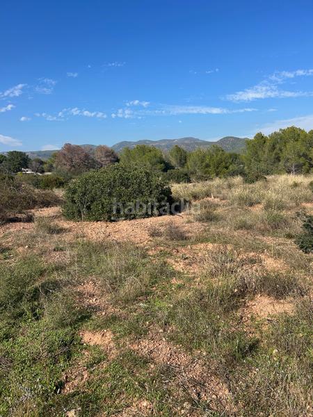 Foto c045ca83-64e5-4589-88df-5530c515732a. Rural plot in Los Pinares-La Masia Bétera