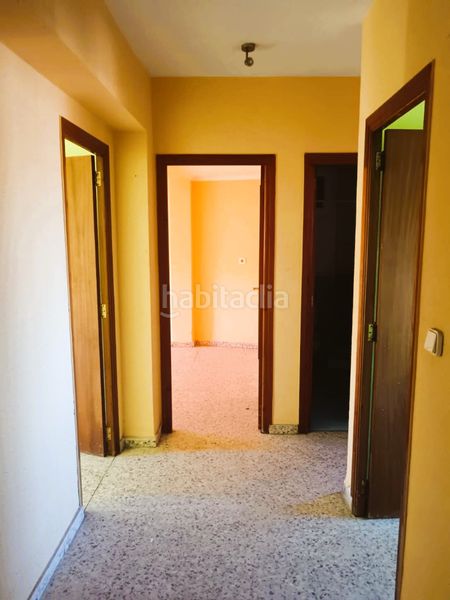 Foto e70dd251-6ec7-48ae-9583-f54b6e4678f6. Pis a Llaurí