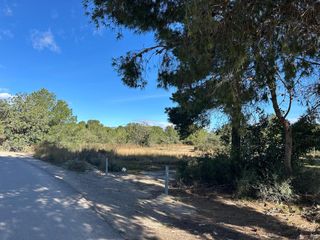Finca rústica a Los Pinares-La Masia. Terreno rústico en bétera