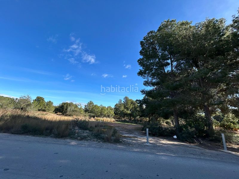 Foto b44e3321-6b1b-4401-8463-c4d4c0d44283. Finca rústica a Los Pinares-La Masia Bétera