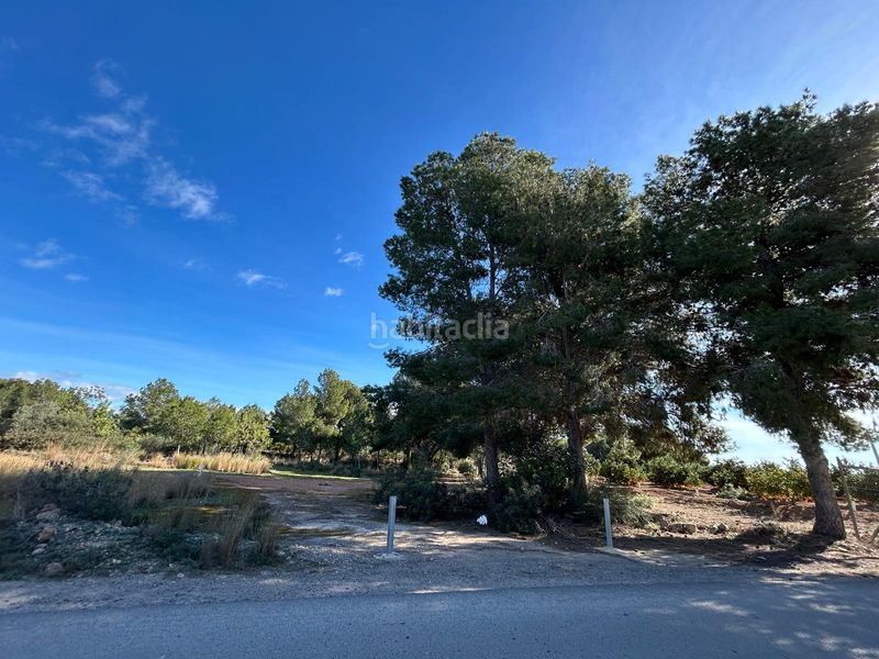 Foto c90f561f-91c2-4429-a19b-e6e5d4136381. Finca rústica a Los Pinares-La Masia Bétera