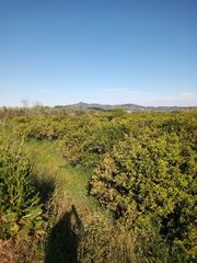 Finca rústica a Barxeta