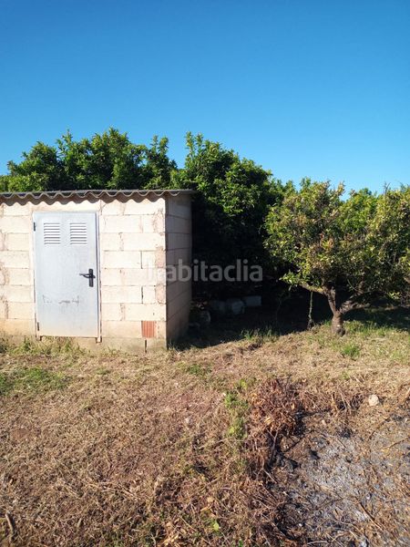 Foto a11a5795-af08-41eb-9ffb-bb0d728bb6c3. Finca rústica a Barxeta