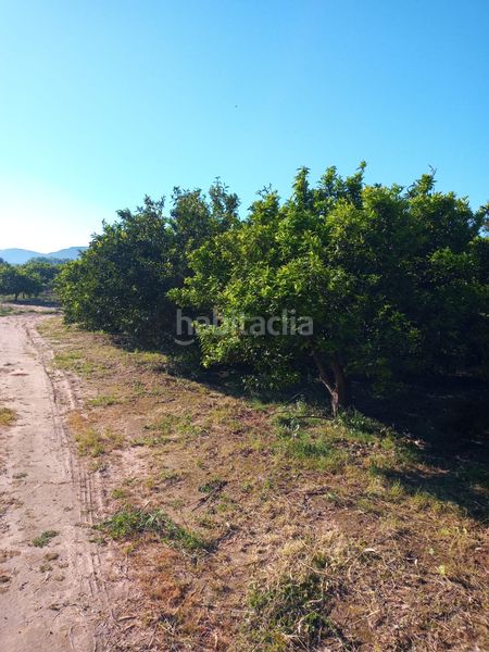 Foto bab4a8af-9770-4dfc-a873-49adb5e7c595. Finca rústica a Barxeta