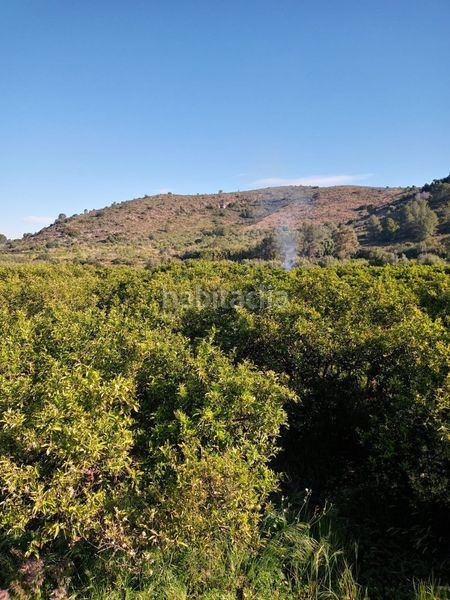 Foto e349b5f7-8e06-4946-8017-b76eda7bf959. Finca rústica a Barxeta