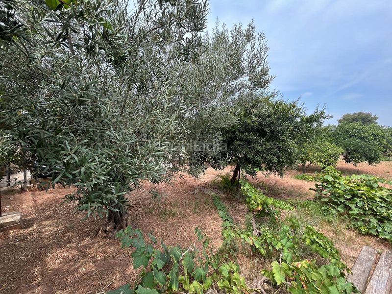 Foto a0dc77c2-b89f-4673-93e6-1e5c714a8716. Chalet  en Camí de Paterna-Lloma del Calderer Bétera