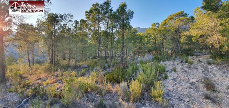 Foto 700c206c-d13b-4411-a819-6e63aa9e6ca0. Terreny residencial a Finestrat pueblo Finestrat