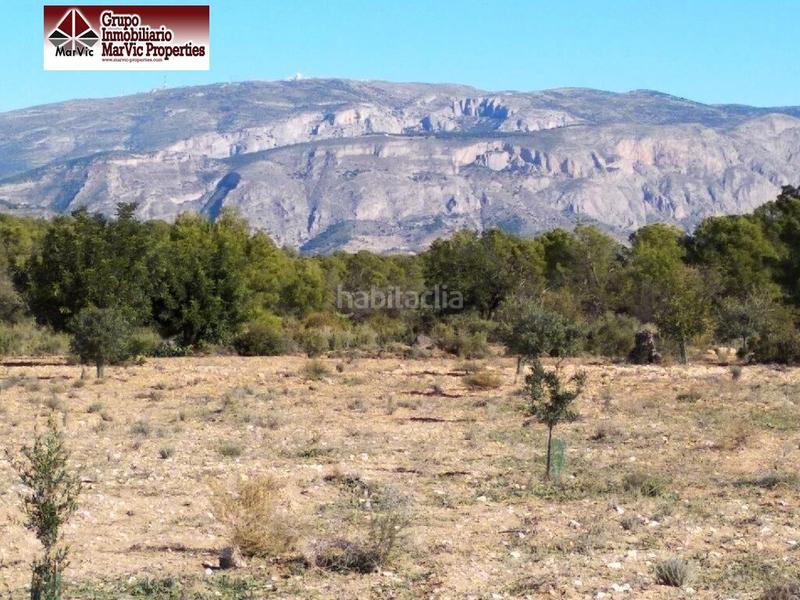 Foto 038d99a0-318a-4b15-9acd-3123069ac09e. Terreny residencial a Orxeta