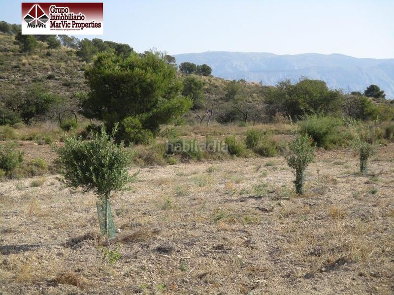 Foto 0760b064-9aad-4b94-a7be-c5d341ed7068. Terreny residencial a Orxeta