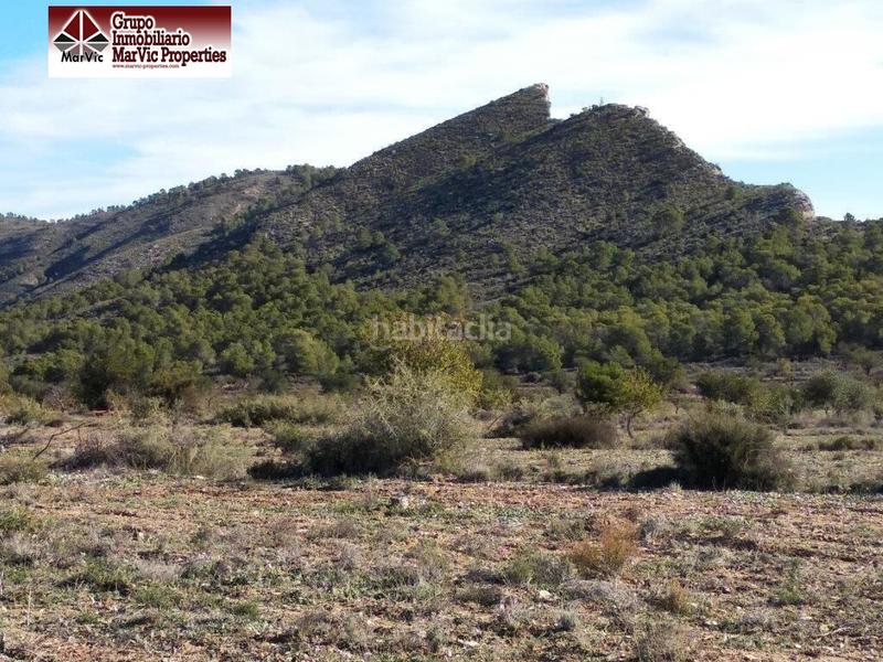 Foto 112ce915-cac9-4af5-80e0-37e9146d503f. Terreny residencial a Orxeta