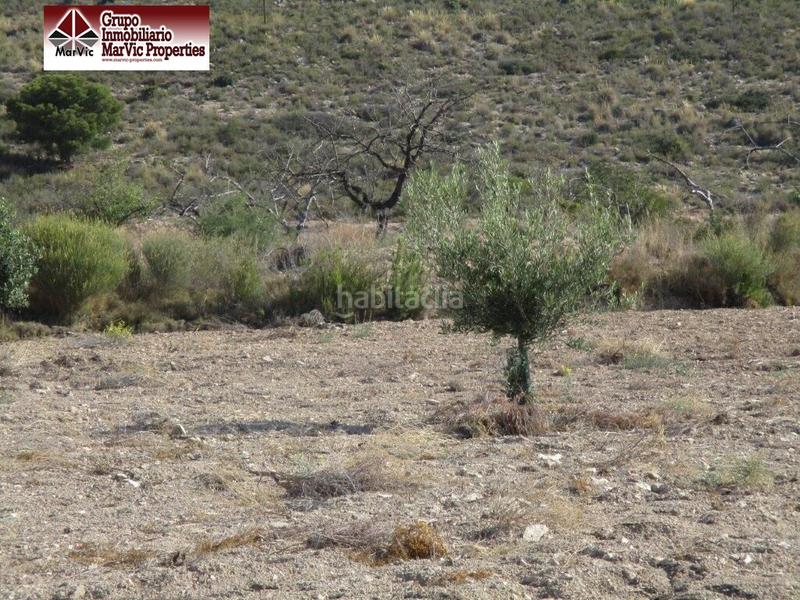 Foto 3a8bc0d3-b589-4c00-a259-d4f0d0d9b702. Terreny residencial a Orxeta