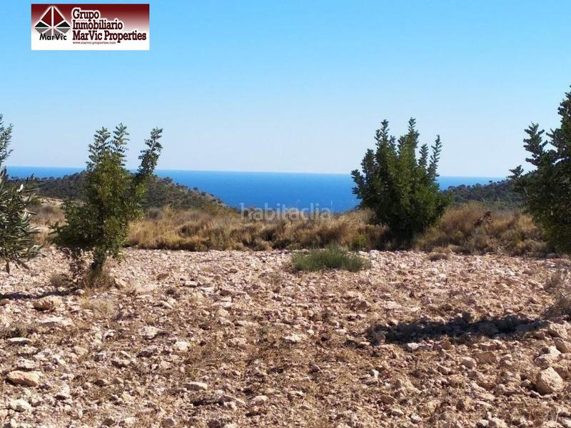 Foto 65c6d75a-a1f1-45d1-8551-71cdb175914d. Terreny residencial a Orxeta