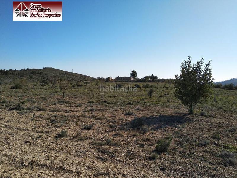 Foto 807a9f16-8777-460c-afd8-969ea691bab1. Terreny residencial a Orxeta