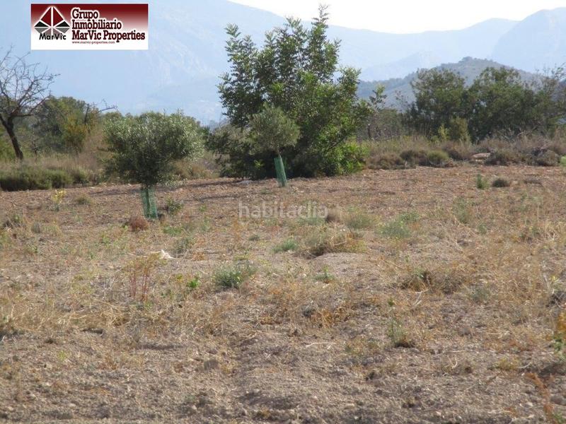 Foto 8f978783-0561-4b72-9049-ede9719e3771. Terreny residencial a Orxeta