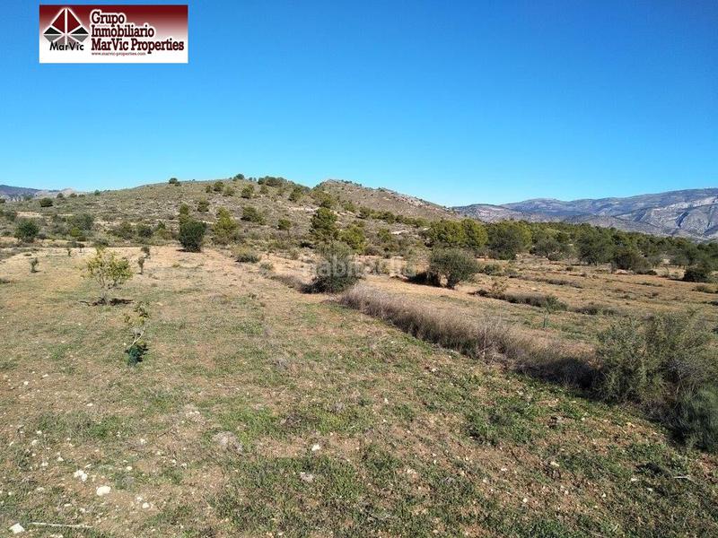 Foto 92b16ce7-d7fe-4c3e-9a2f-0c1018ae52ca. Terreny residencial a Orxeta