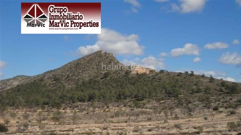 Foto 9306bc4a-6e9a-4b1d-bd1c-1ed708758ab0. Terreny residencial a Orxeta