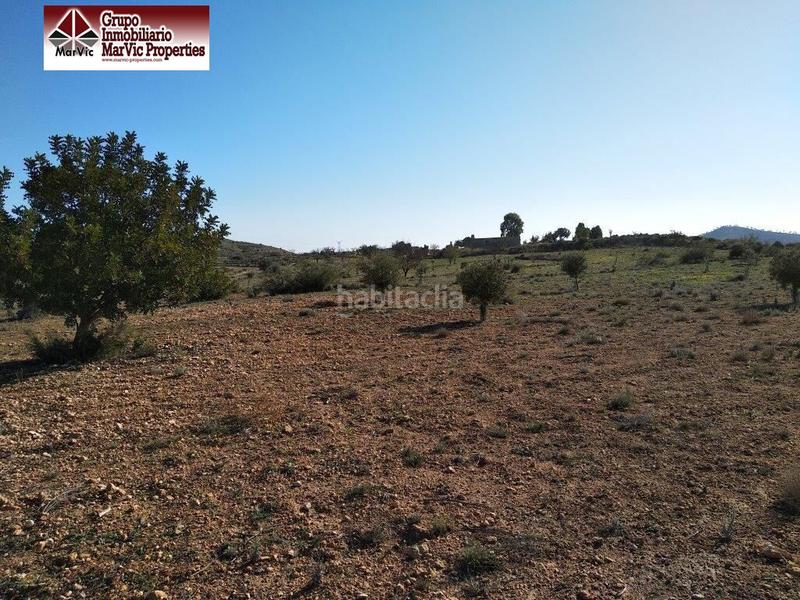 Foto b06229f8-6c79-4a9b-8682-20dd9a4adf7b. Terreny residencial a Orxeta