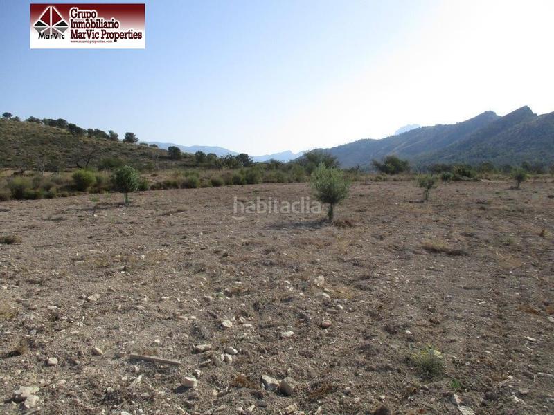 Foto ca7ca359-0637-4256-8f06-8dfe0a842f86. Terreny residencial a Orxeta