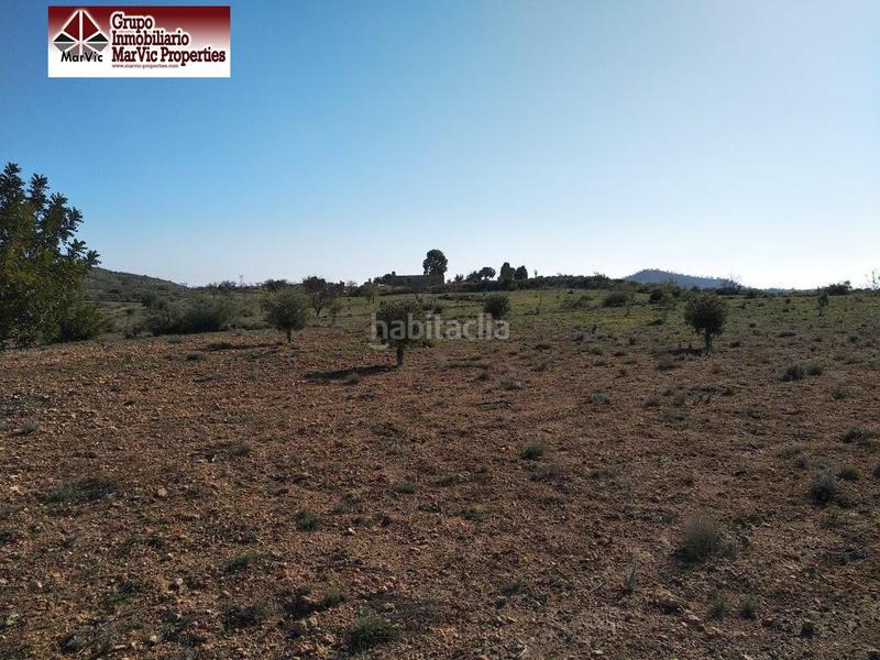 Foto d60bbec2-ddaf-4623-be9c-bc1c648afdde. Terreny residencial a Orxeta