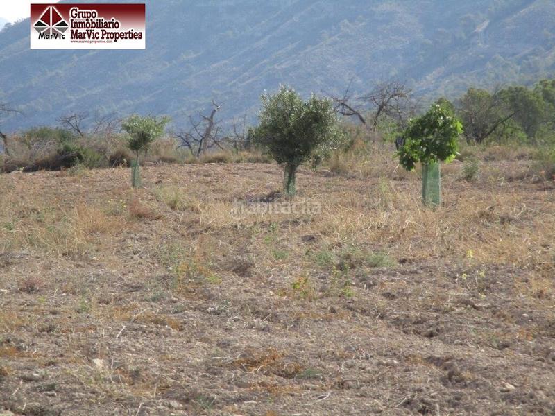 Foto e0593a9e-87e6-4a9e-af22-199a3b3cddfa. Terreny residencial a Orxeta