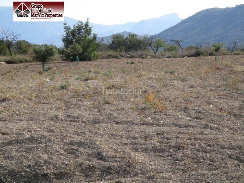 Foto e67d8156-0d85-4d52-993e-5ded3d253f61. Terreny residencial a Orxeta