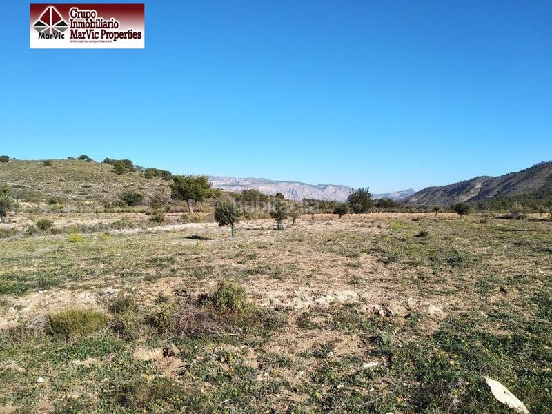 Foto e86ce2a9-181f-4f59-875f-8b33f006e035. Terreny residencial a Orxeta