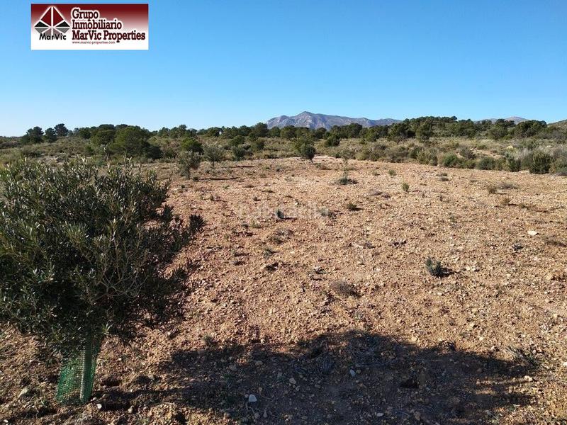 Foto f54356e5-cbce-411a-a459-857bee438038. Terreny residencial a Orxeta