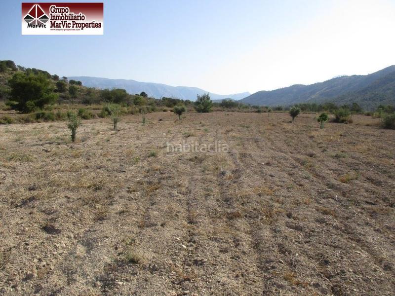 Foto f804d2ab-41b5-4e42-84ca-a9763de36e99. Terreny residencial a Orxeta